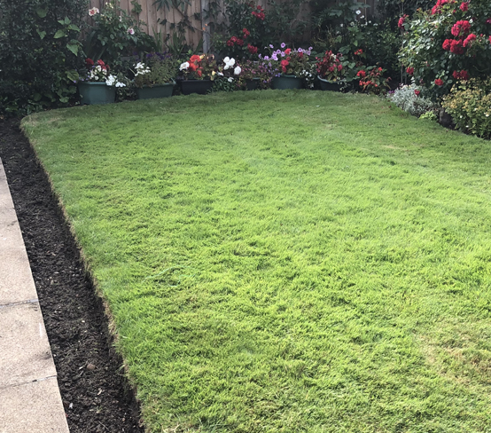 Beaumont’s Garden Maintenance